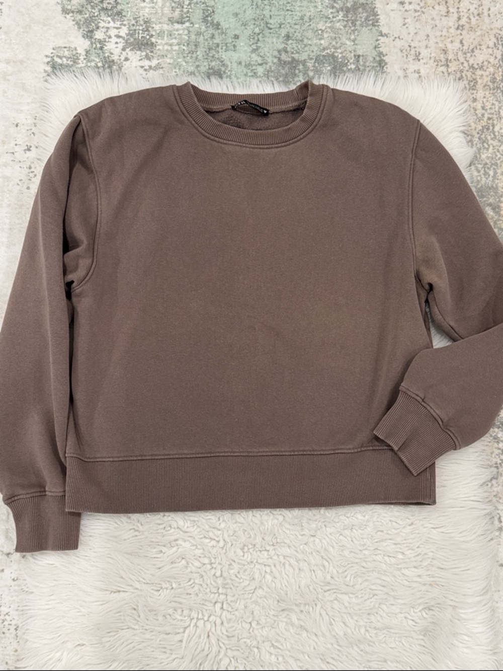 Zara Crewneck Sweatshirt in Taupe
